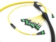 MPO To MPO Trunk Cable , Telecom Single Mode Fiber Optic Cable High Bandwidth 12 - 288 Fibers